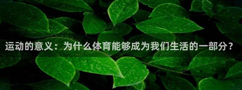 运动的意义：为什么体育能够成为我们生活的一部分？