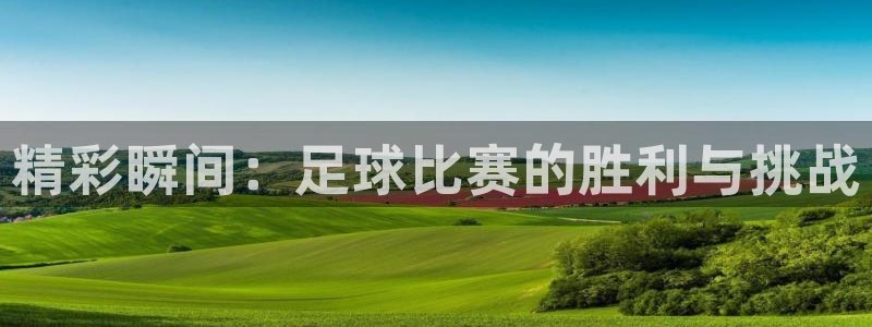 精彩瞬间：足球比赛的胜利与挑战