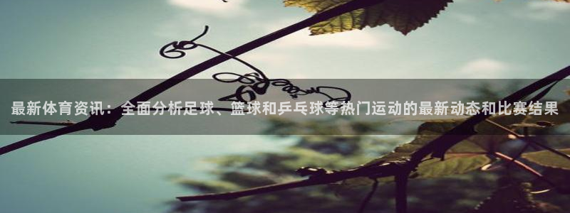 最新体育资讯：全面分析足球、篮球和乒乓球等热门运动的最新动态和比赛结果