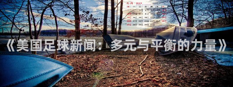 《美国足球新闻：多元与平衡的力量》