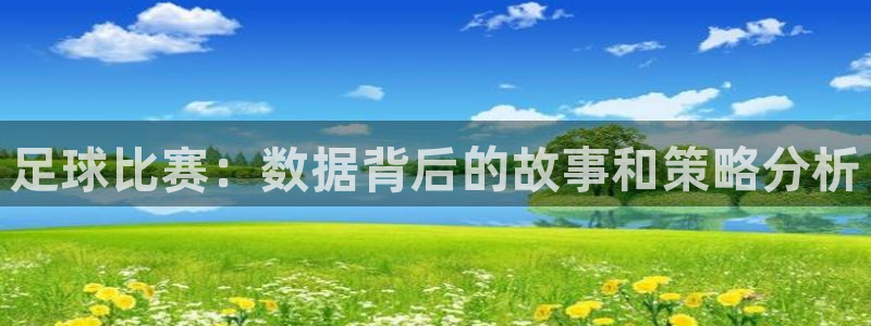 足球比赛：数据背后的故事和策略分析