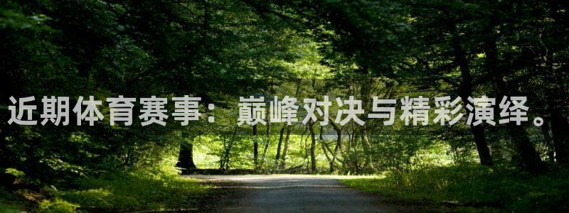 近期体育赛事：巅峰对决与精彩演绎。