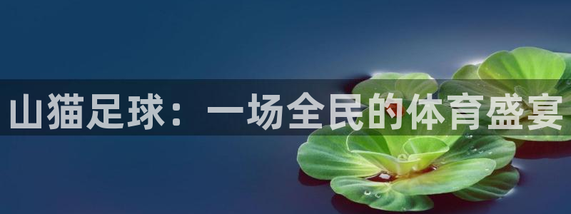 山猫足球：一场全民的体育盛宴