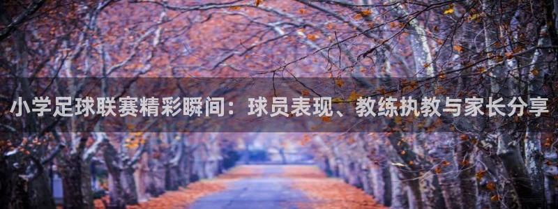 小学足球联赛精彩瞬间：球员表现、教练执教与家长分享