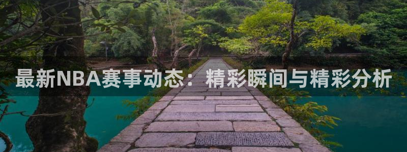 最新NBA赛事动态：精彩瞬间与精彩分析