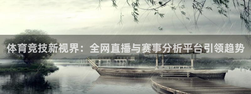 体育竞技新视界：全网直播与赛事分析平台引领趋势