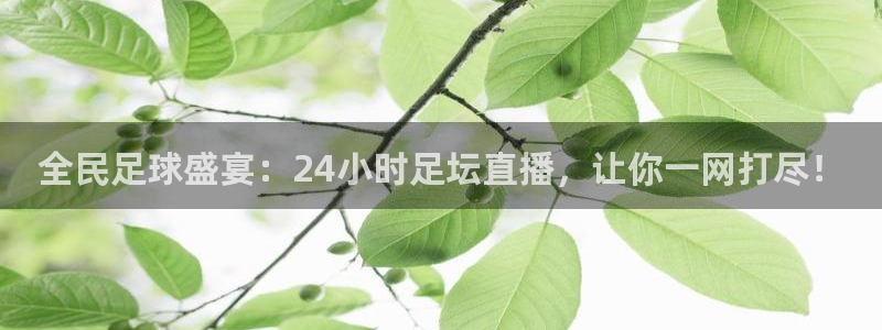 全民足球盛宴：24小时足坛直播，让你一网打尽！