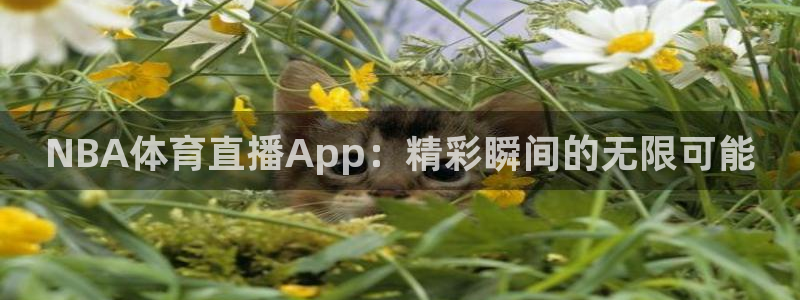NBA体育直播App：精彩瞬间的无限可能