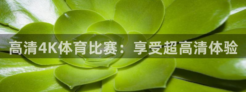 高清4K体育比赛：享受超高清体验