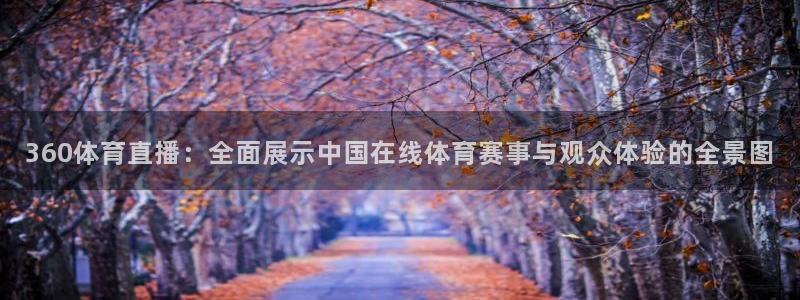 360体育直播：全面展示中国在线体育赛事与观众体验的全景图