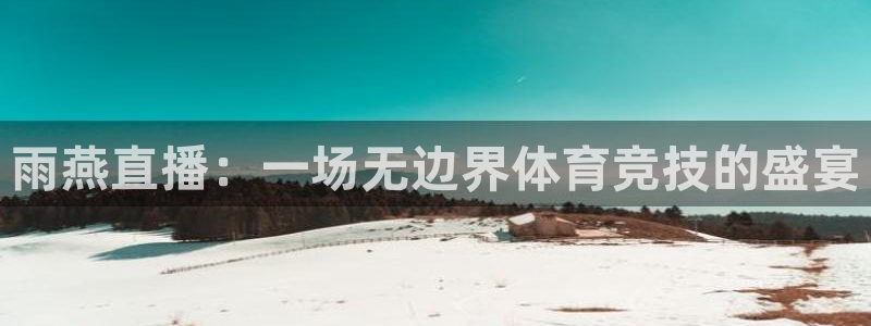 雨燕直播：一场无边界体育竞技的盛宴