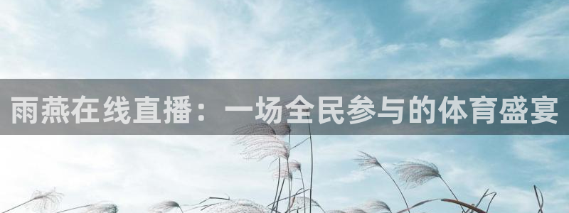 雨燕在线直播：一场全民参与的体育盛宴