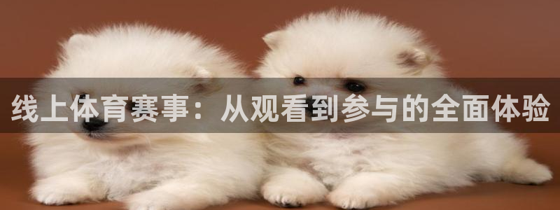 线上体育赛事：从观看到参与的全面体验