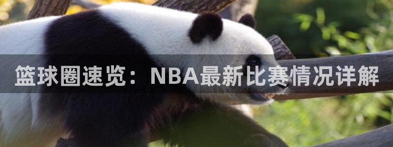 篮球圈速览：NBA最新比赛情况详解