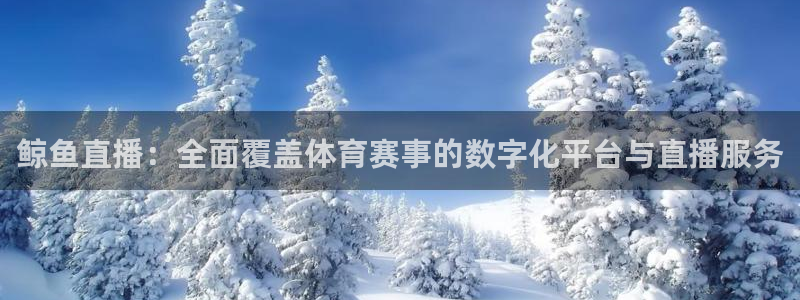 鲸鱼直播：全面覆盖体育赛事的数字化平台与直播服务