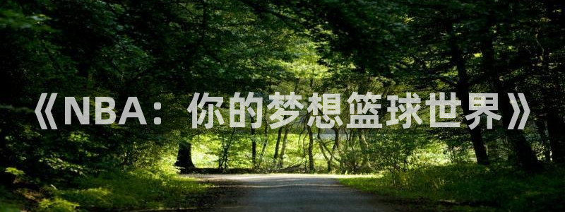 《NBA：你的梦想篮球世界》