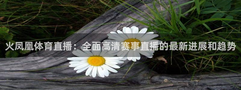火凤凰体育直播：全面高清赛事直播的最新进展和趋势