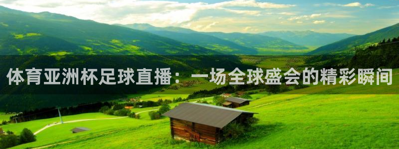 体育亚洲杯足球直播：一场全球盛会的精彩瞬间