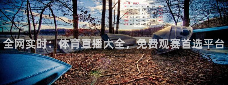 全网实时：体育直播大全，免费观赛首选平台