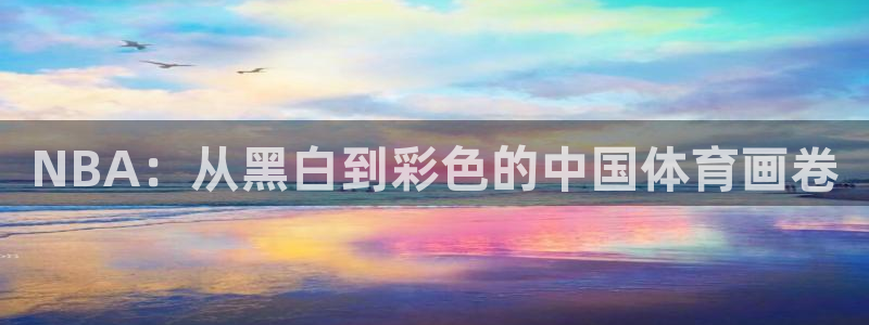 NBA：从黑白到彩色的中国体育画卷