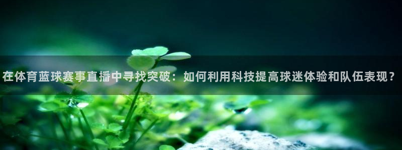 在体育蓝球赛事直播中寻找突破：如何利用科技提高球迷体验和队伍表现？