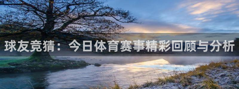 球友竞猜：今日体育赛事精彩回顾与分析