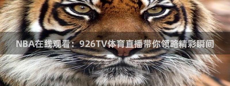 NBA在线观看：926TV体育直播带你领略精彩瞬间
