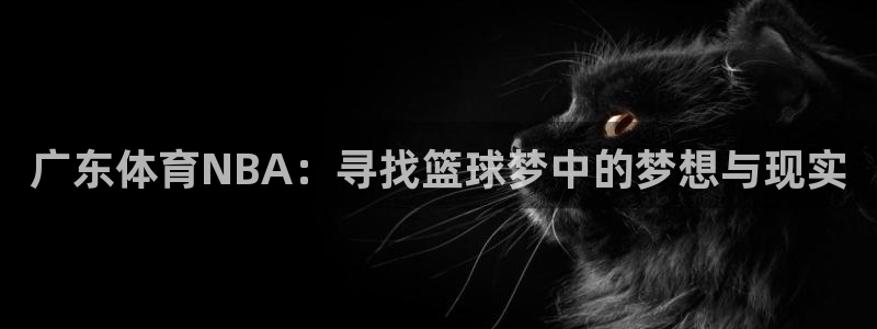 广东体育NBA：寻找篮球梦中的梦想与现实