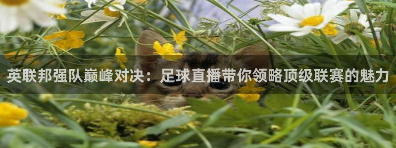 英联邦强队巅峰对决：足球直播带你领略顶级联赛的魅力