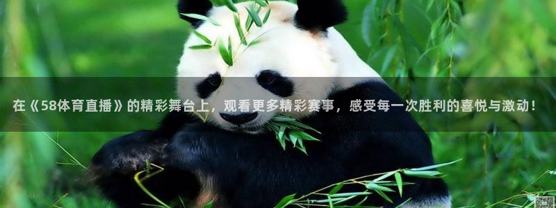 在《58体育直播》的精彩舞台上，观看更多精彩赛事，感受每一次胜利的喜悦与激动！