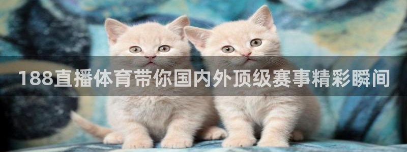 188直播体育带你国内外顶级赛事精彩瞬间