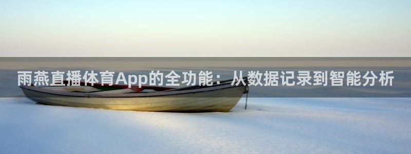 雨燕直播体育App的全功能：从数据记录到智能分析