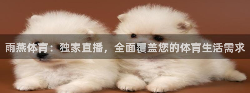 雨燕体育：独家直播，全面覆盖您的体育生活需求