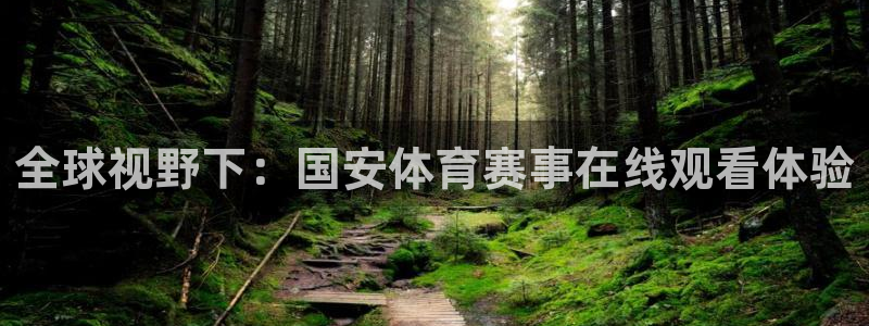 全球视野下：国安体育赛事在线观看体验