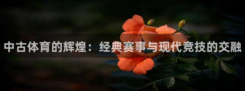 中古体育的辉煌：经典赛事与现代竞技的交融