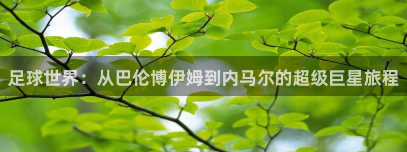 足球世界：从巴伦博伊姆到内马尔的超级巨星旅程