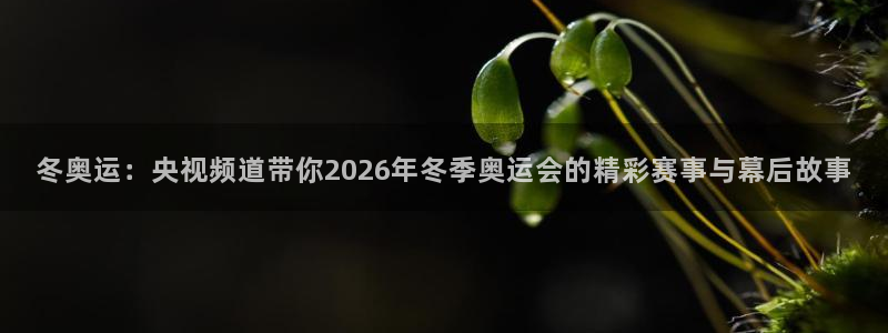 冬奥运：央视频道带你2026年冬季奥运会的精彩赛事与幕后故事