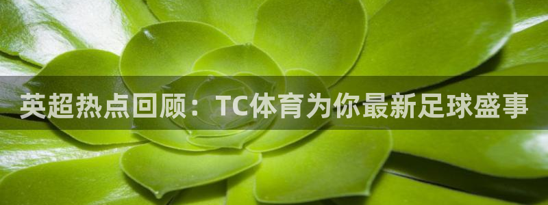 英超热点回顾：TC体育为你最新足球盛事