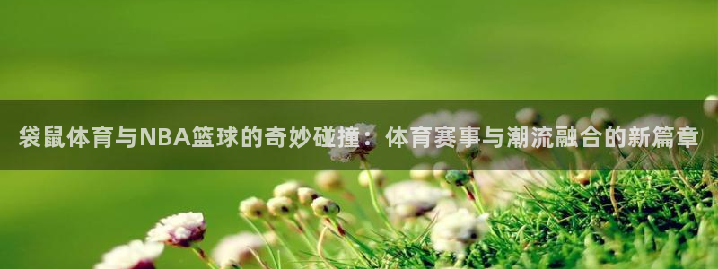 袋鼠体育与NBA篮球的奇妙碰撞：体育赛事与潮流融合的新篇章