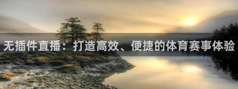 无插件直播：打造高效、便捷的体育赛事体验
