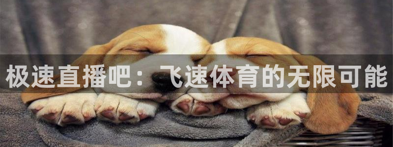 极速直播吧：飞速体育的无限可能