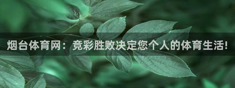 烟台体育网：竞彩胜败决定您个人的体育生活!