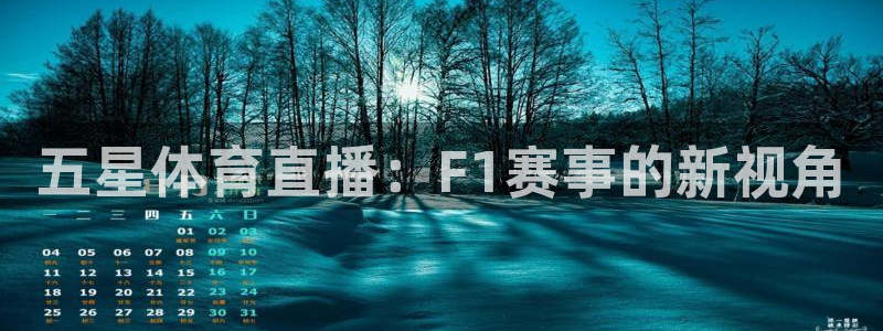 五星体育直播：F1赛事的新视角