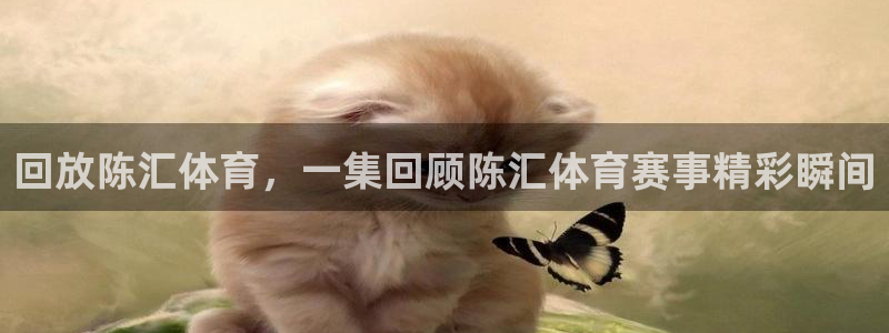 回放陈汇体育，一集回顾陈汇体育赛事精彩瞬间