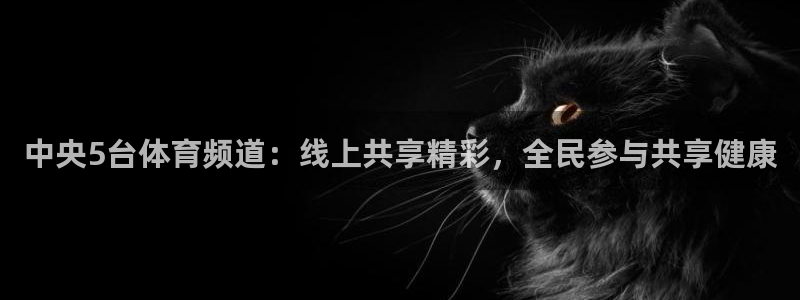中央5台体育频道：线上共享精彩，全民参与共享健康
