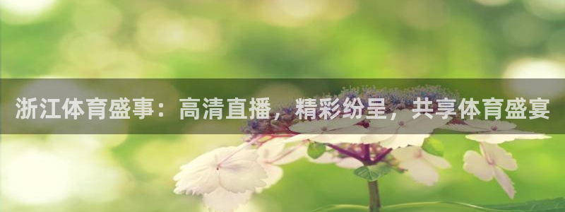 浙江体育盛事：高清直播，精彩纷呈，共享体育盛宴