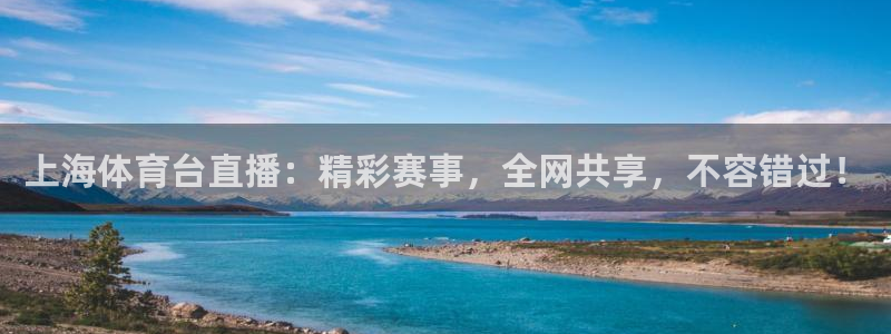 上海体育台直播：精彩赛事，全网共享，不容错过！