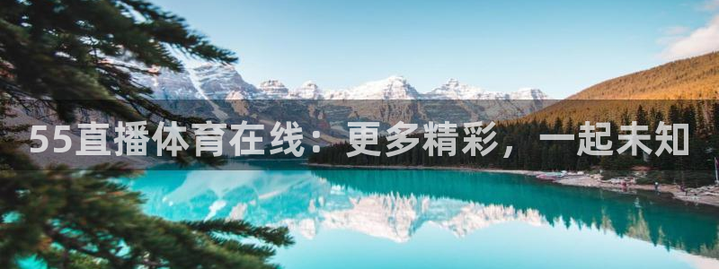 55直播体育在线：更多精彩，一起未知