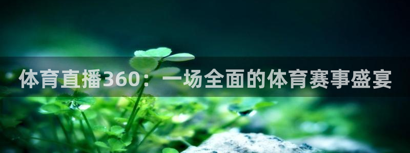 体育直播360：一场全面的体育赛事盛宴