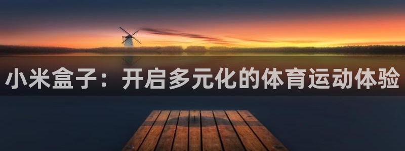 小米盒子：开启多元化的体育运动体验